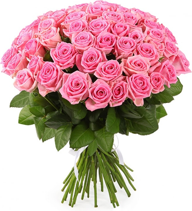 Розы Россия розовые Розы Россия розовые